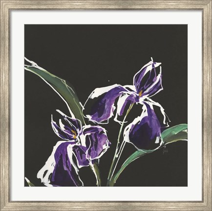 Framed Iris on Black I Print