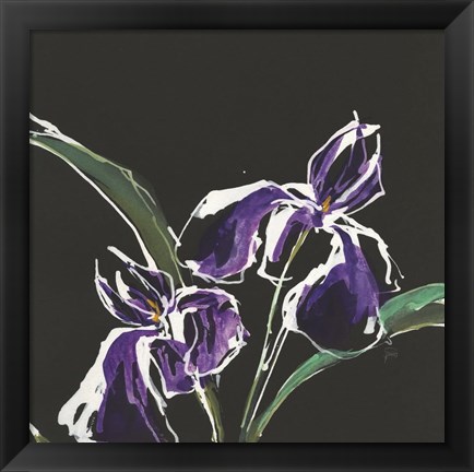 Framed Iris on Black I Print