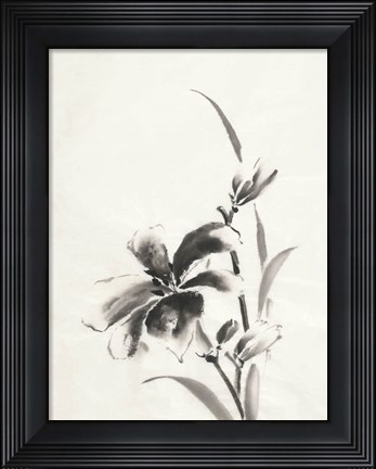 Framed Sumi Daylily IV Print