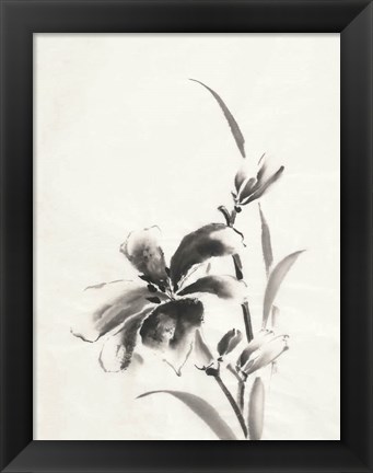 Framed Sumi Daylily IV Print