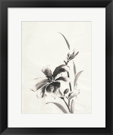 Framed Sumi Daylily IV Print