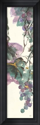 Framed Amethyst Grape Panel II Print