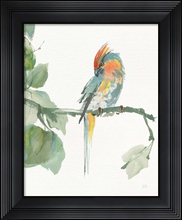 Framed Crested Cockatoo v2 Print