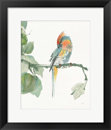 Framed Crested Cockatoo v2 Print