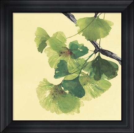 Framed Gingko Leaves II Dark Print