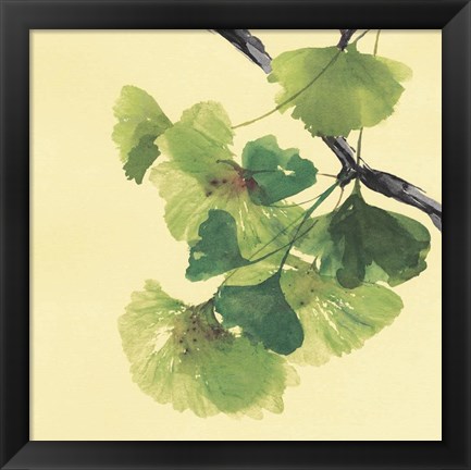 Framed Gingko Leaves II Dark Print