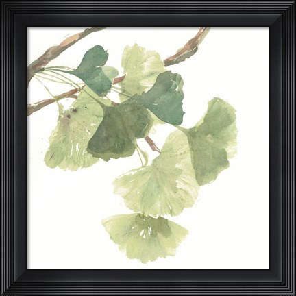 Framed Gingko Leaves I on White Print