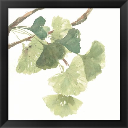 Framed Gingko Leaves I on White Print