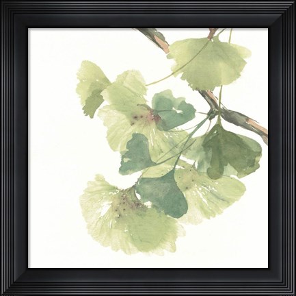 Framed Gingko Leaves II on White Print