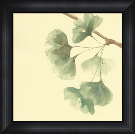 Framed Gingko Leaves III Print