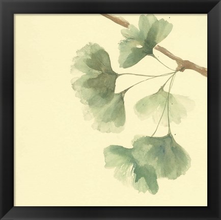 Framed Gingko Leaves III Print