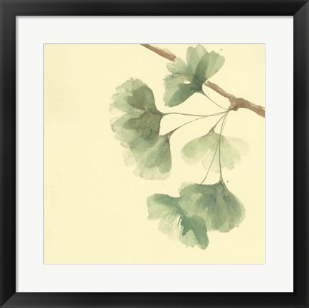 Framed Gingko Leaves III Print