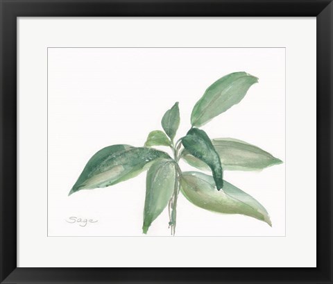 Framed Sage I Print