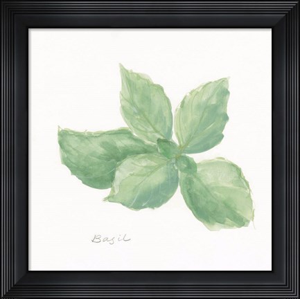 Framed Basil Print