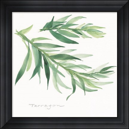 Framed Tarragon II Print