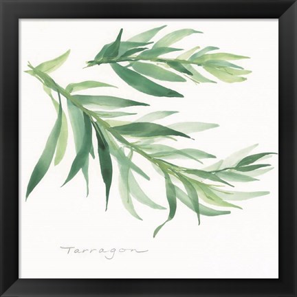 Framed Tarragon II Print