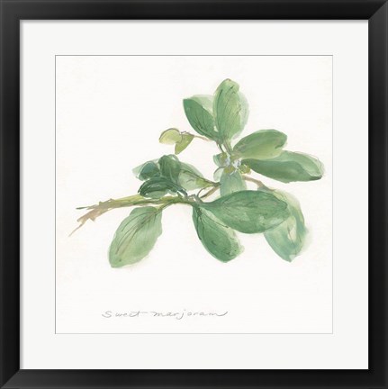 Framed Sweet Marjoram Print