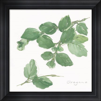 Framed Oregano Print