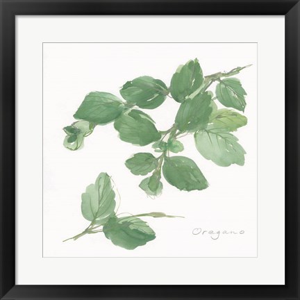 Framed Oregano Print