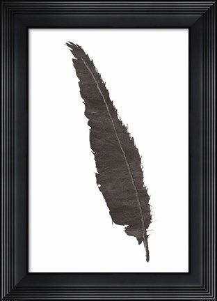 Framed Black Feather VI Print