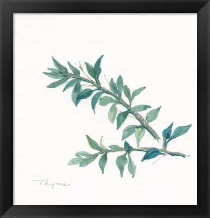 Framed Thyme II Print