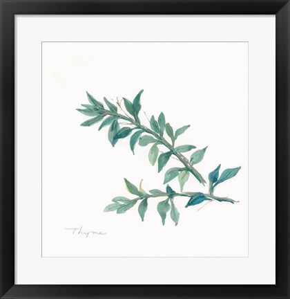 Framed Thyme II Print