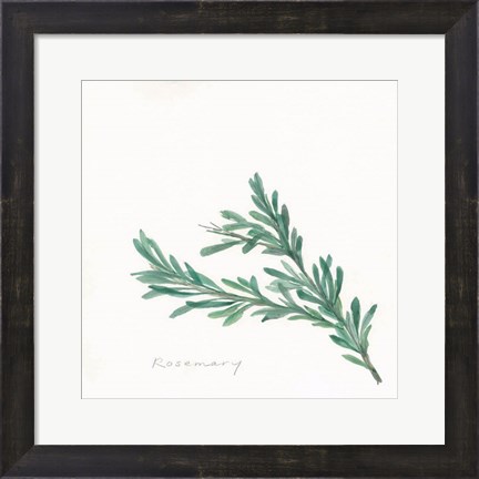 Framed Rosemary II Print