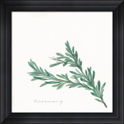 Framed Rosemary II Print