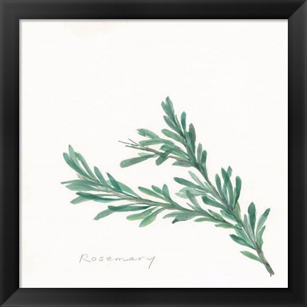 Framed Rosemary II Print