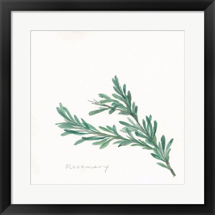 Framed Rosemary II Print