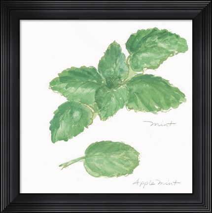 Framed Mint Print