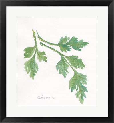 Framed Chervil Print