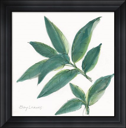 Framed Bay Leaf Print