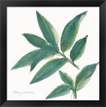 Framed Bay Leaf Print