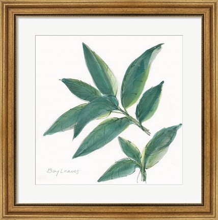 Framed Bay Leaf Print