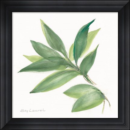 Framed Laurel Bay Print