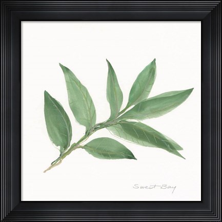 Framed Sweet Bay II Print