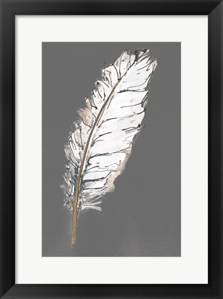 Framed Gold Feathers VII on Grey Print