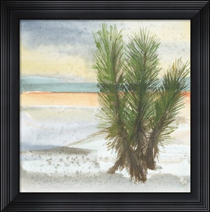 Framed Desert Yucca Cool Print