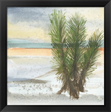 Framed Desert Yucca Cool Print