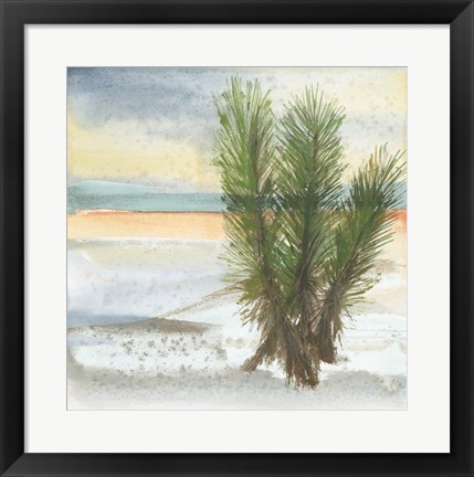 Framed Desert Yucca Cool Print