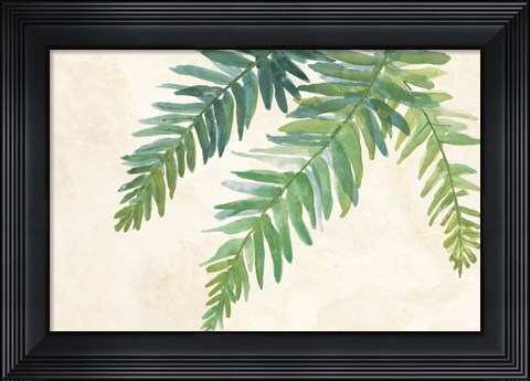 Framed Ferns Square I on Cream Print