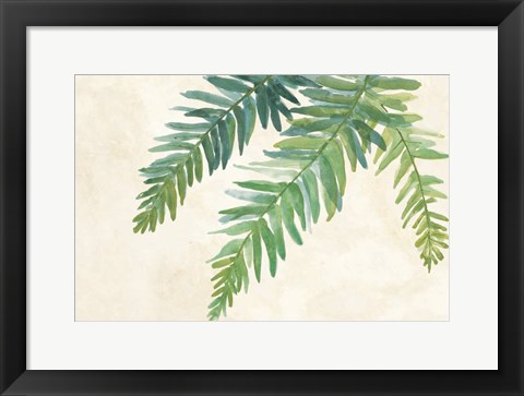 Framed Ferns Square I on Cream Print