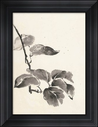 Framed Sumi Kiwi Cream Print