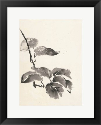 Framed Sumi Kiwi Cream Print
