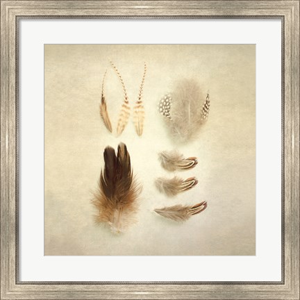 Framed Feathers II Square Print