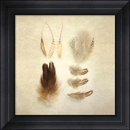 Framed Feathers II Square Print