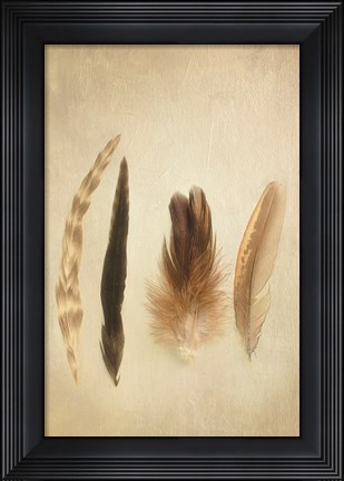 Framed Feathers I Print
