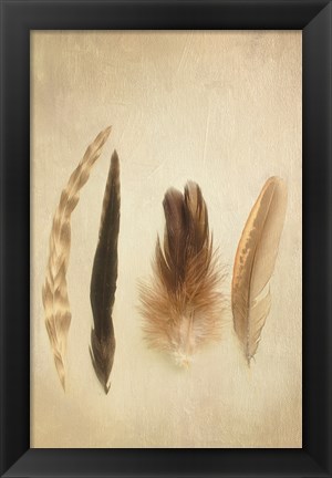 Framed Feathers I Print