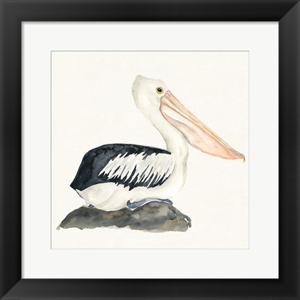 Framed Tropical Fun Bird II Print